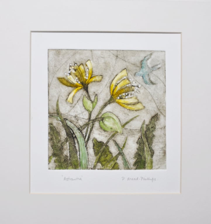 'Astrantia' - Original Handmade Collagraph.