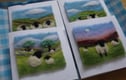 Needle felted Cards