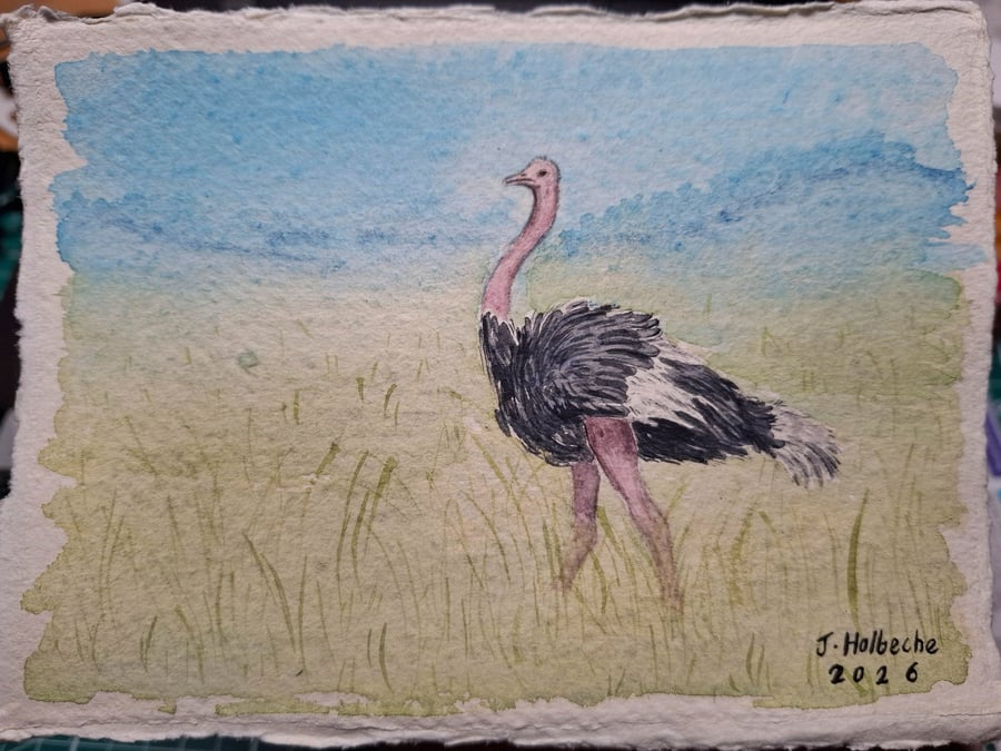 Ostrich Original Watercolour Painting