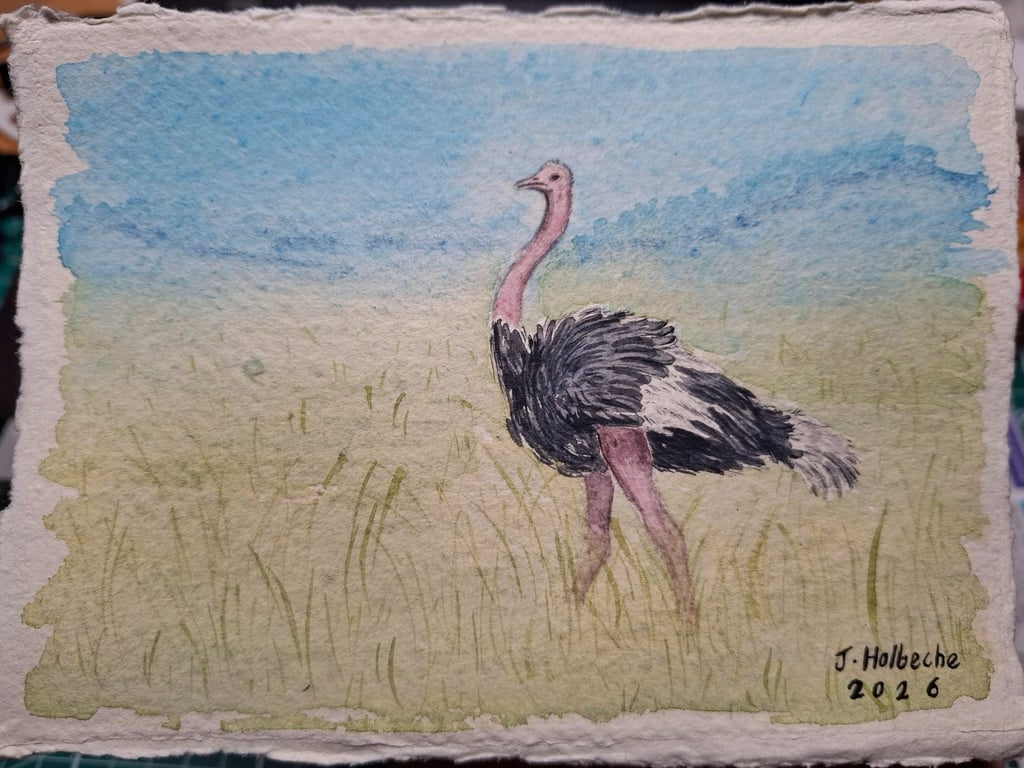 Ostrich Original Watercolour Painting