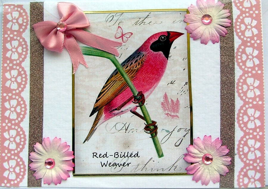 Weaver Bird - Hand Crafted Decoupage Card - Blank for any Occasion (2443)