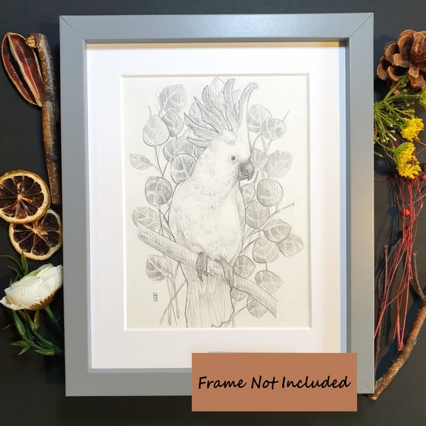 Cockatoo bird drawing -Original artwork, pencil drawing