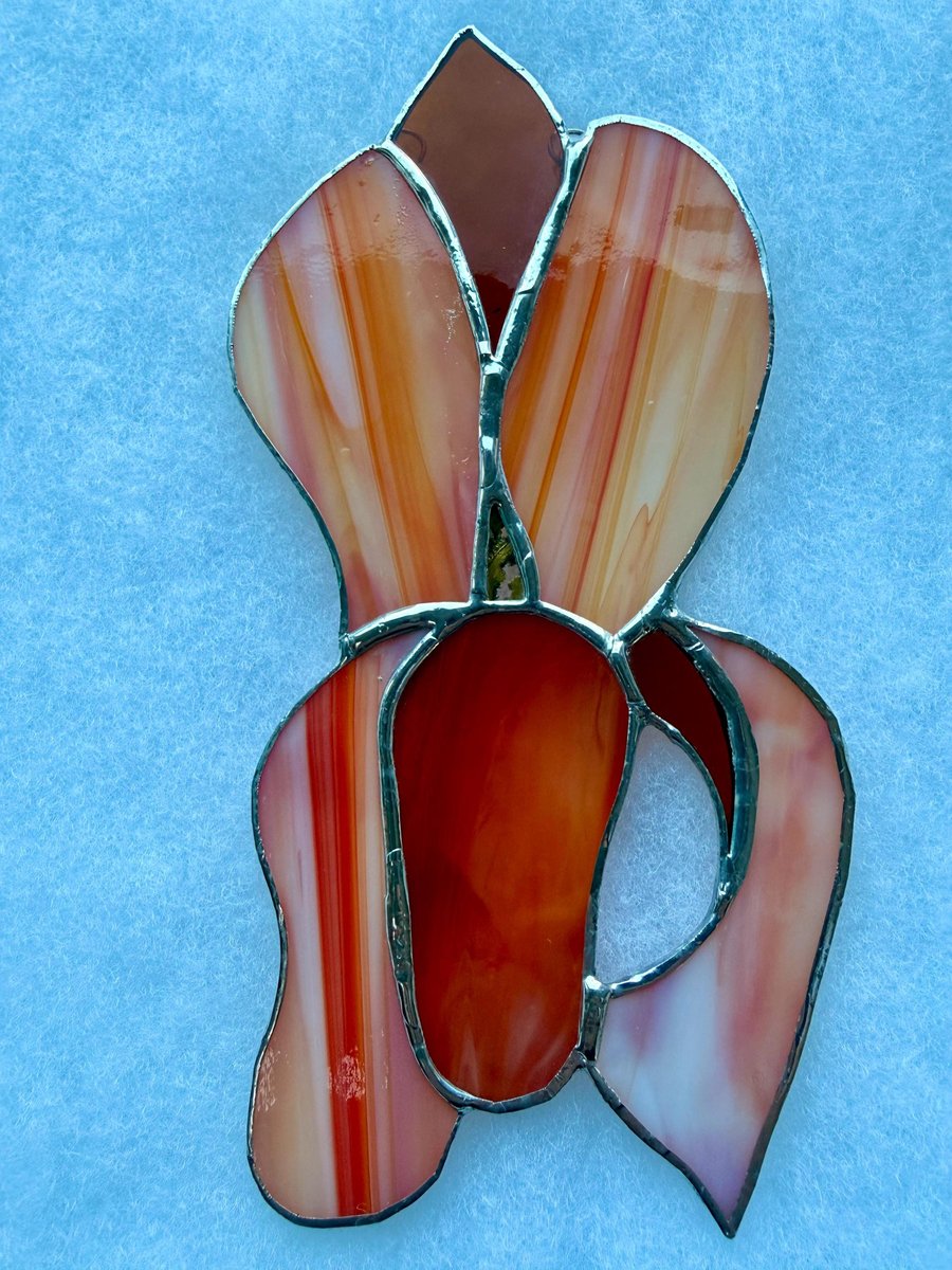 Stained glass iris - orange sunset petals