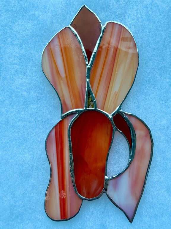 Stained glass iris - orange sunset petals