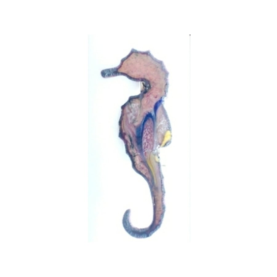brooch - seahorse scrolled dark blue, pink, yellow on clear enamel