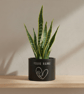 Personalised Black Plant Pot with Floral Heart  - Image 5