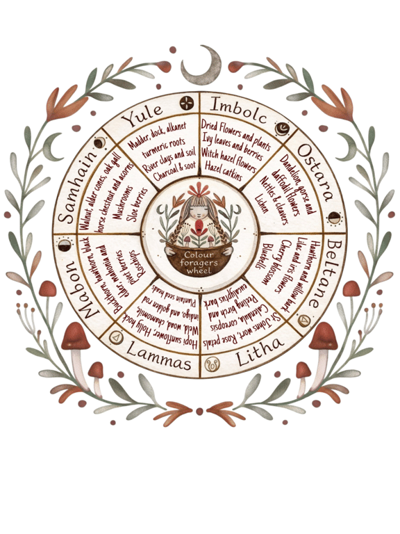 Colour foragers wheel 