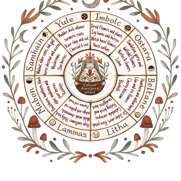 Colour foragers wheel 