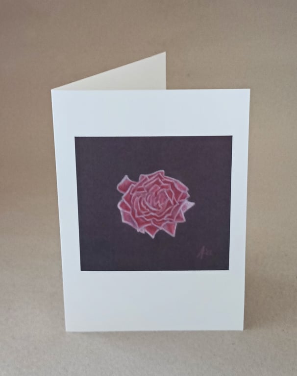 Rose on Black, botanical art card of a red rose drawn on black paper