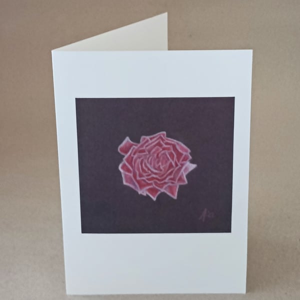 Rose on Black, botanical art card of a red rose drawn on black paper