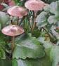 Copper texured garden mushroom, plant pot decoration, gift - Image 3