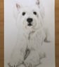 A3 Custom Dog Portrait made with Coloured Pencil - Image 1