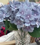 Blue and purple shades single hydrangea stem - Image 2