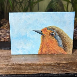 Eurasian Robin Painting 