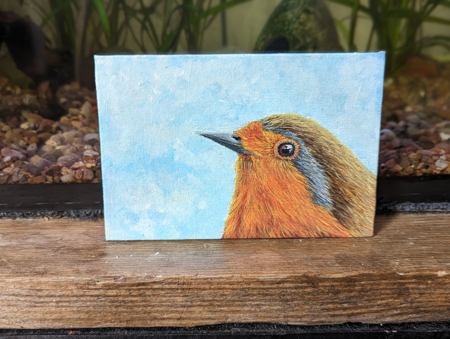 Eurasian Robin Painting 