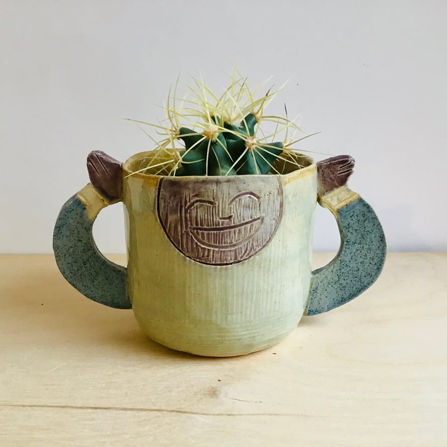 Cactus head plant pot