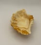 Eco resin shell shaped trinket tray - Image 2