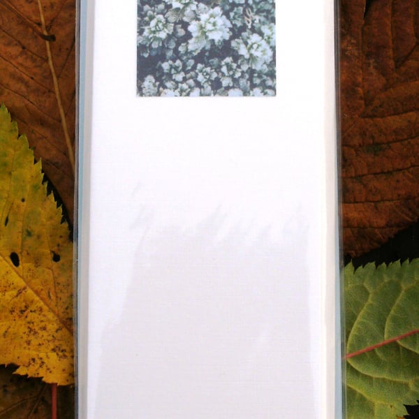 5 x PHOTO CHRISTMAS CARDS - Frosty Aubretia