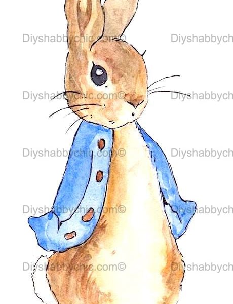 Waterslide Wood Furniture Vintage Image Transfer Shabby Chic Peter Rabbit Jacket
