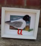 Needle felted Little Gull picture  - Image 3