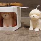 Dog candle 