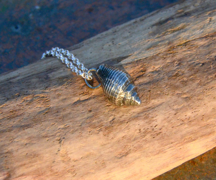 Sterling silver sea shell