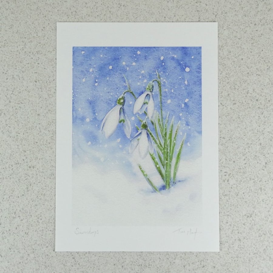 Art print 'Snowdrops'