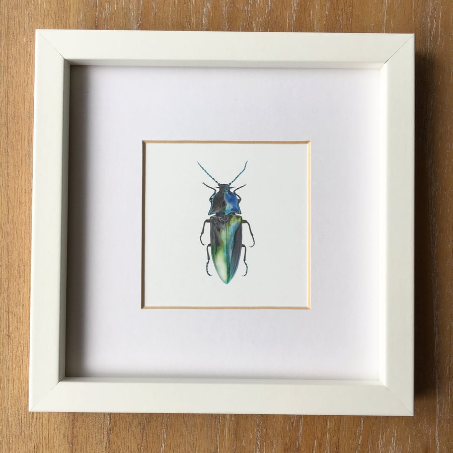 Jewel Beetle print
