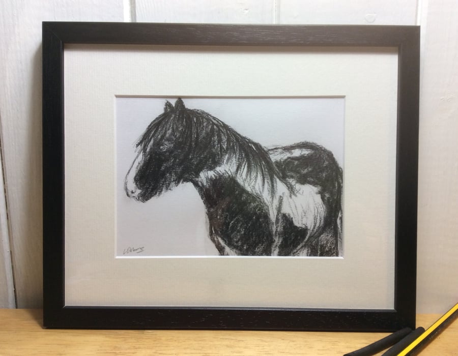 Old friend - charcoal drawing of a horse