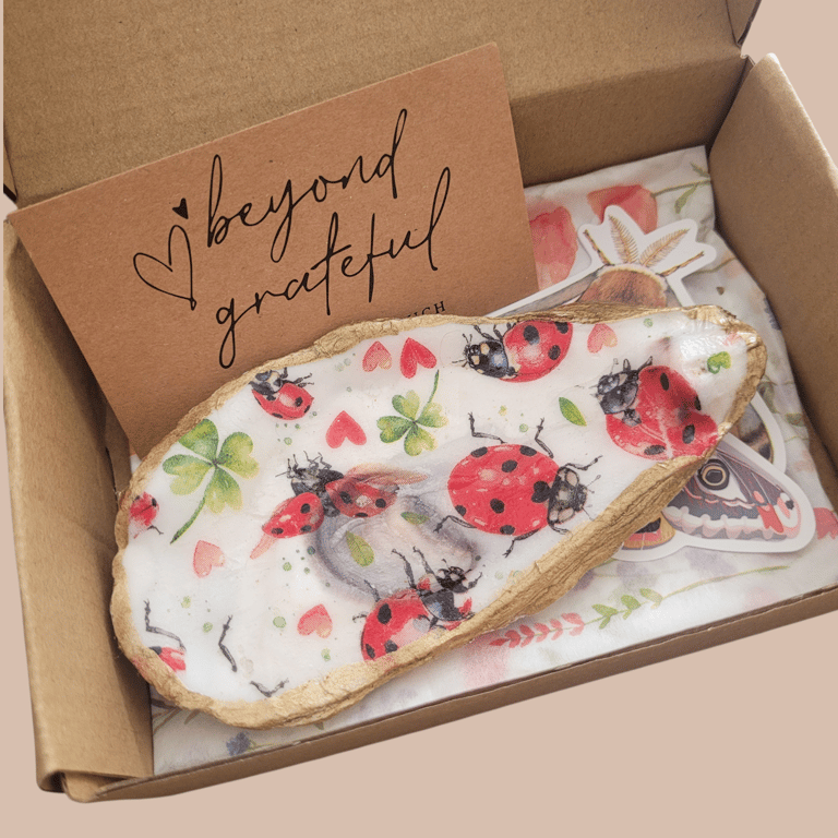 Ladybird Decoupage Trinket Dish 