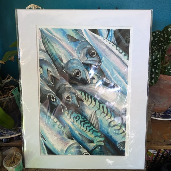 The Mackerel, A4 Fine Art Print, Contemporary Food Art