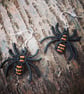 Stripy Spider Macrame Earrings  - Image 1