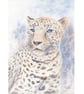 Caucasian Leopard Art Print, Mountain Animal Poster, Wild Cat Wildlife Artwork - Image 2