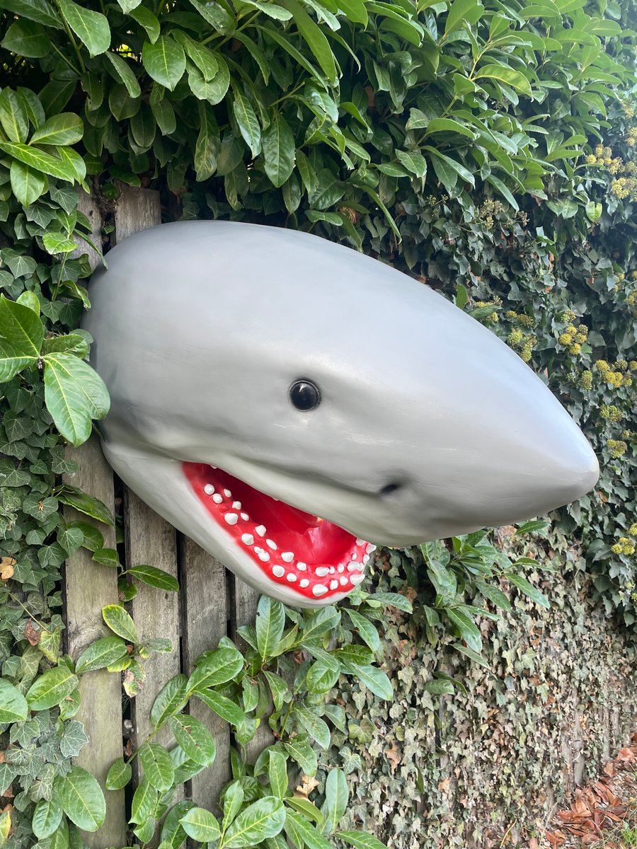 Large Fibreglass Jaws Shark Head in Grey