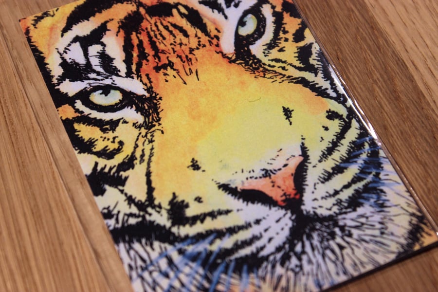 Tiger ACEO Print - Mini Wildlife Art Print, Free UK Post