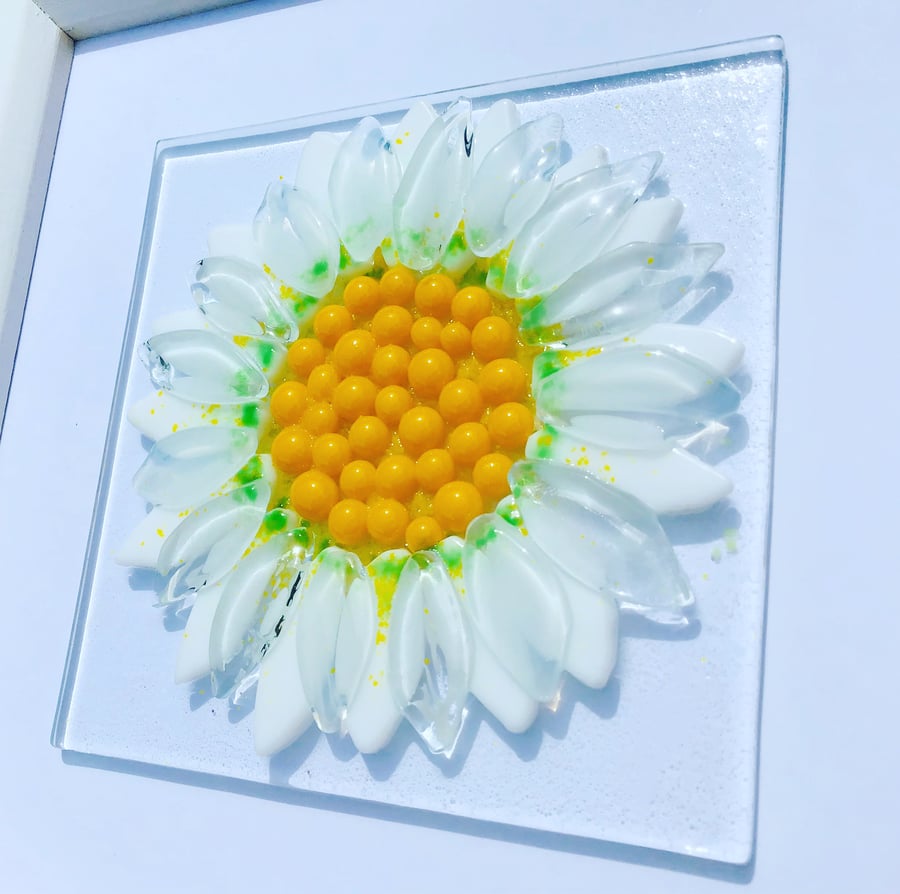 Fused glass daisy wall art, wall decoration picture 
