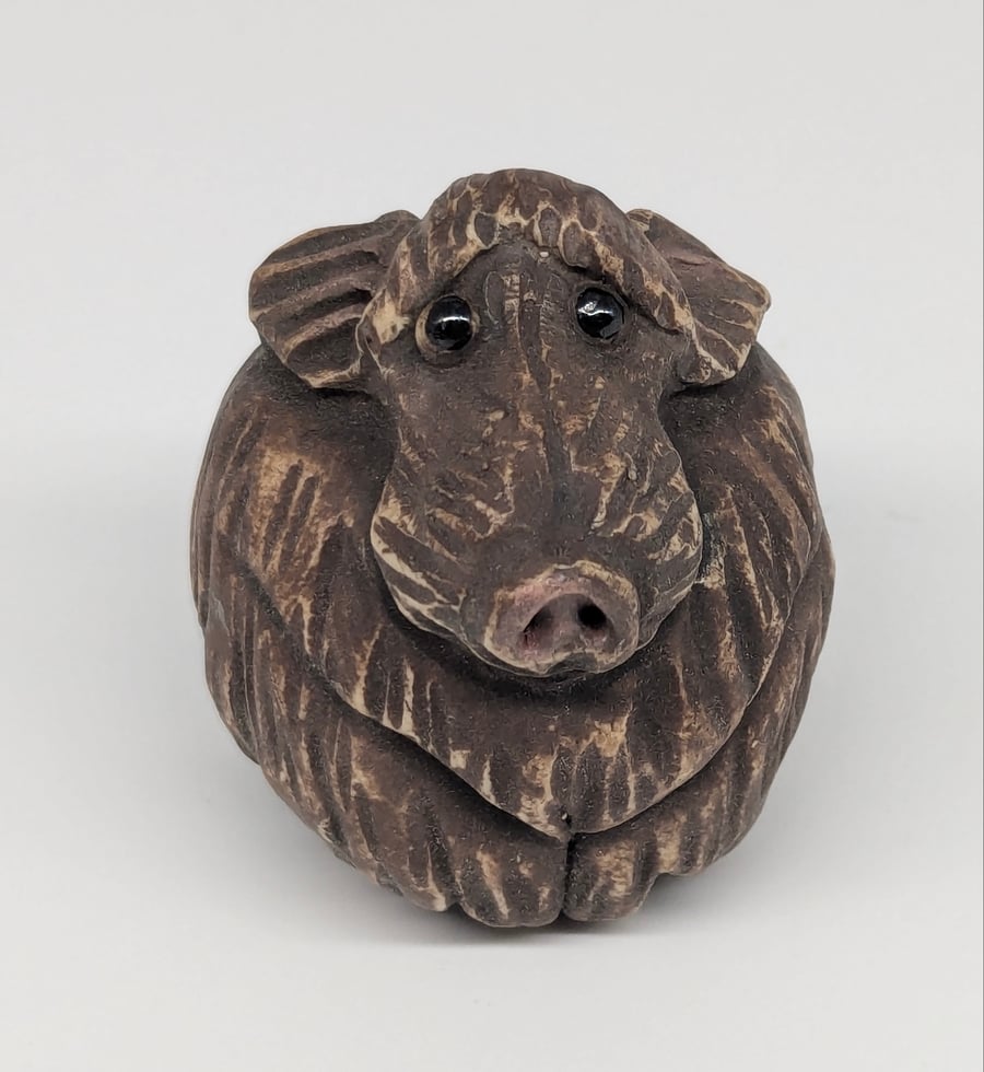 Wild Boar - Little Creatures Range