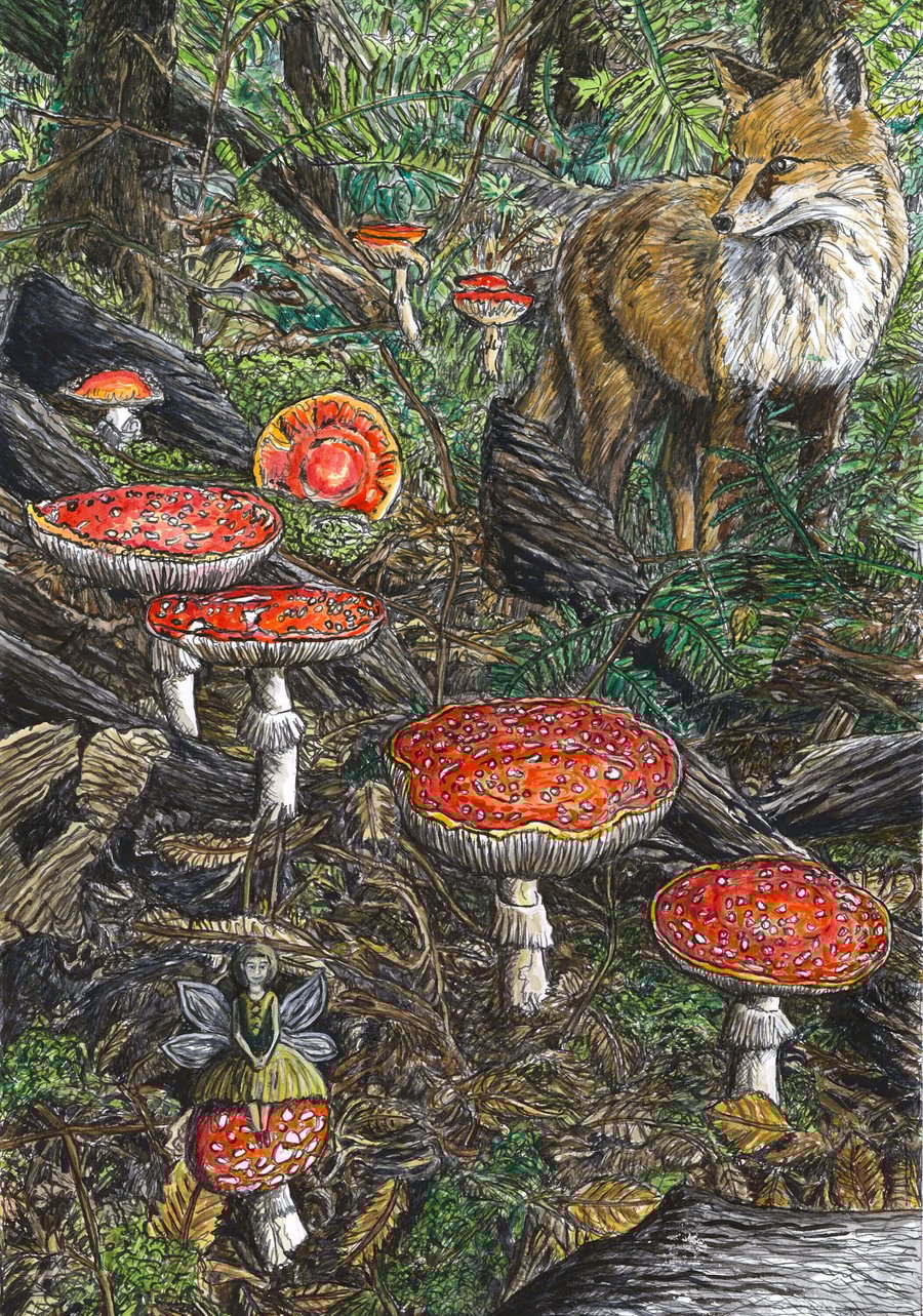 Fly Agaric - David W. J. Lloyd - Giclée Art Print - Mushroom, Fox, Fairy, Trees