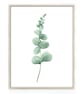 Eucalyptus wall prints, eucalyptus wall decor, botanical wall art prints - Image 4