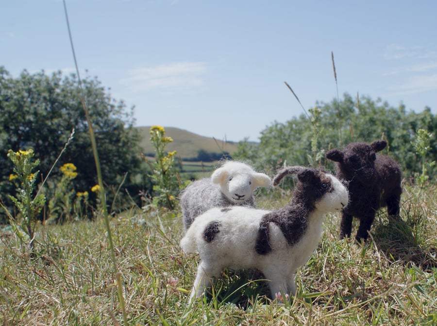 Sheep Needlefelt Kit - ideal for a more experienced needle felter