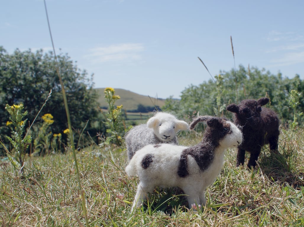 Sheep Needlefelt Kit - ideal for a more experienced needle felter