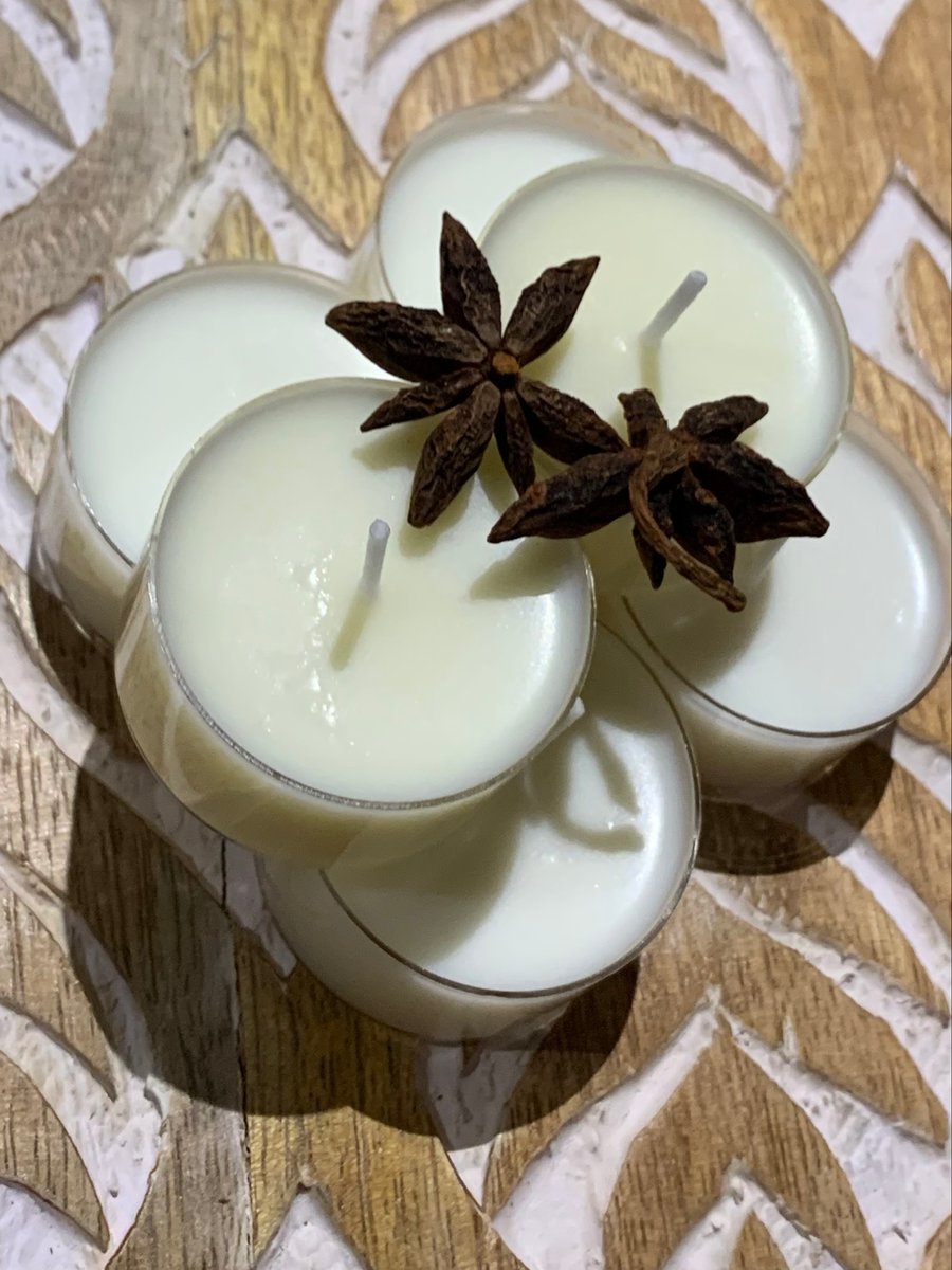 6 Soy Wax Essential Oil Tealight Autumn Christmas Seasonal Gift set