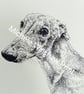 Sighthound Dog Print - greyhound, whippet, lurcher, galgo - Image 2