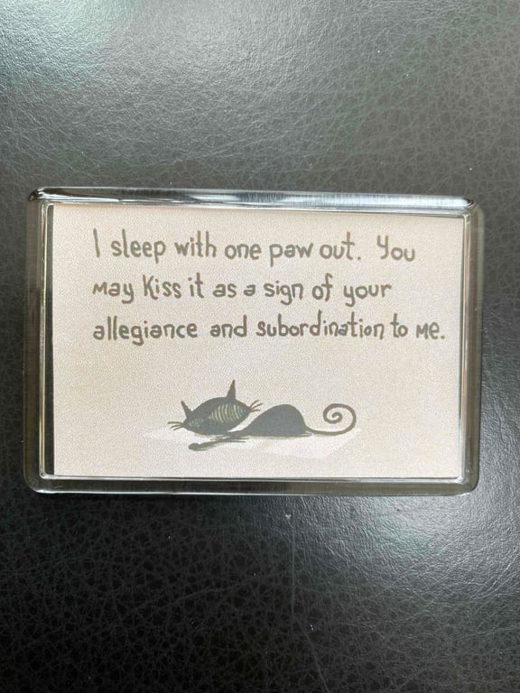 Cat Lord and Master Magnet