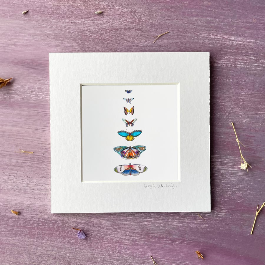 'Butterflies' 5" x 5" Mounted Print