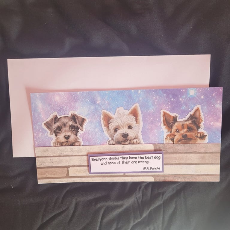 Peeping dogs blank greetings card, terriers