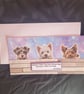 Peeping dogs blank greetings card, terriers