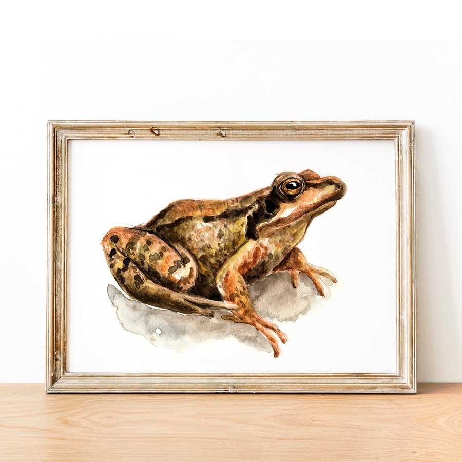 Large Toad A5 Inkjet Print