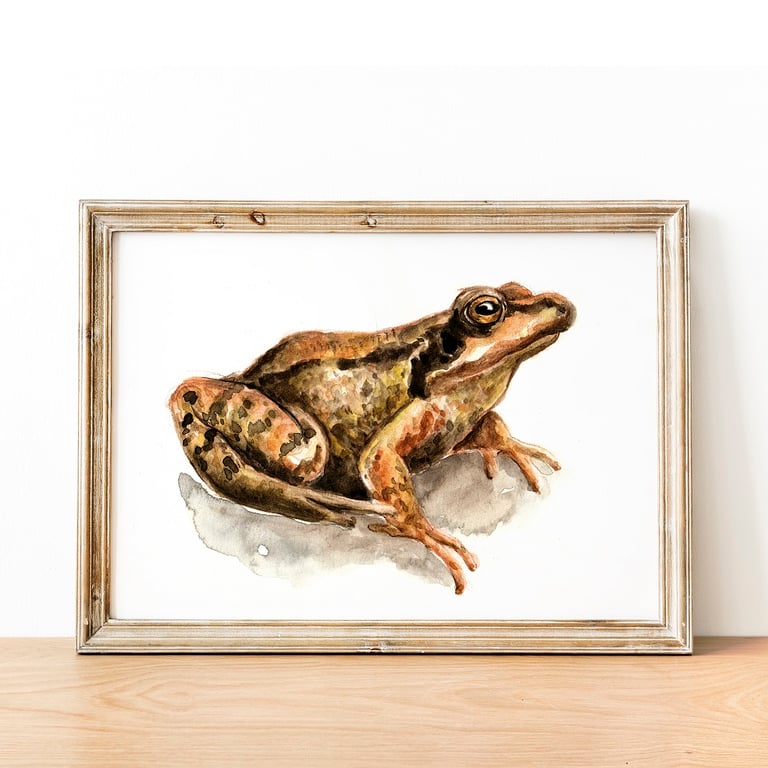 Large Toad A5 Inkjet Print