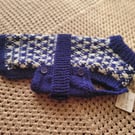 Blue and cream dog coat 